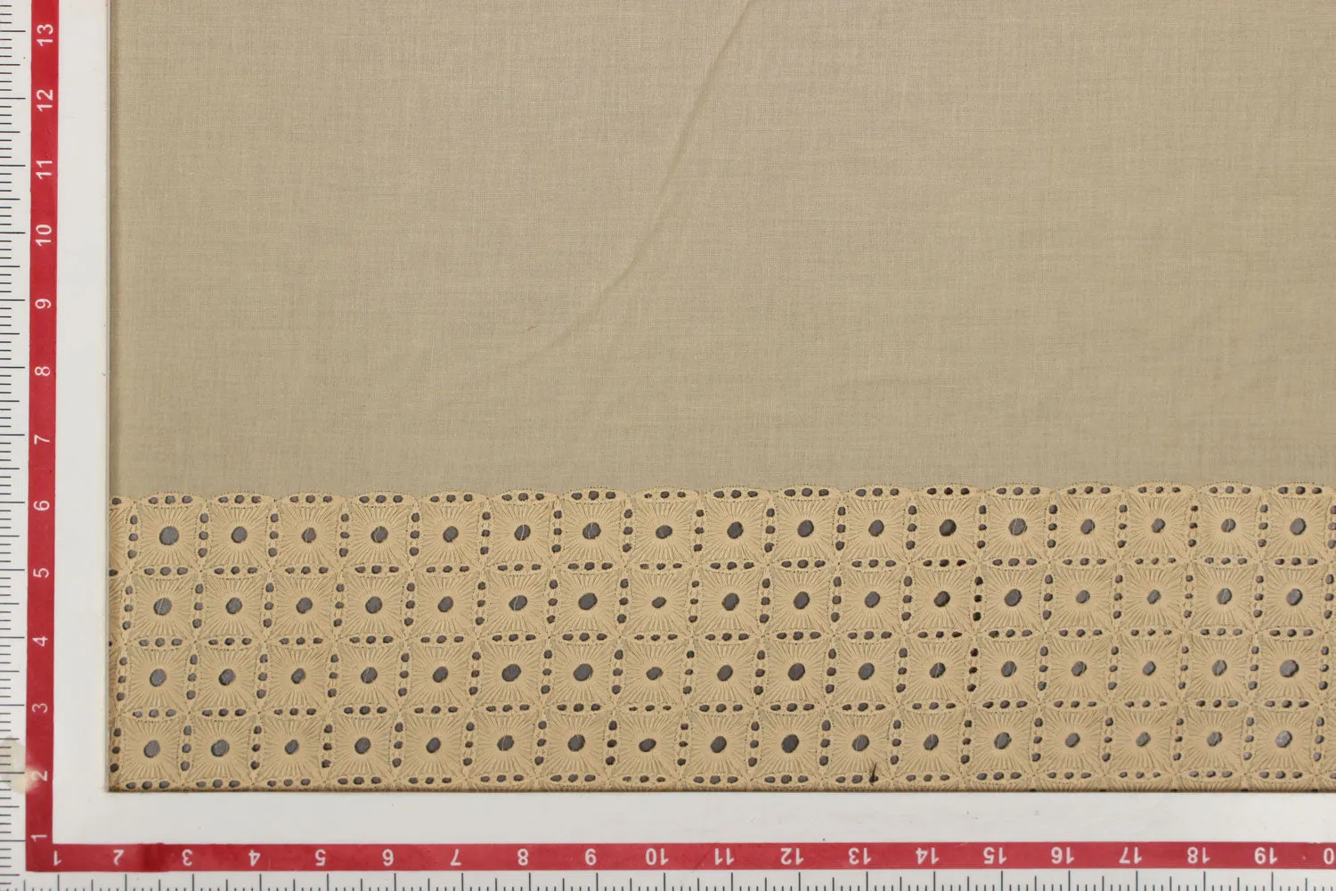 Beige Chikankari Work Fabric