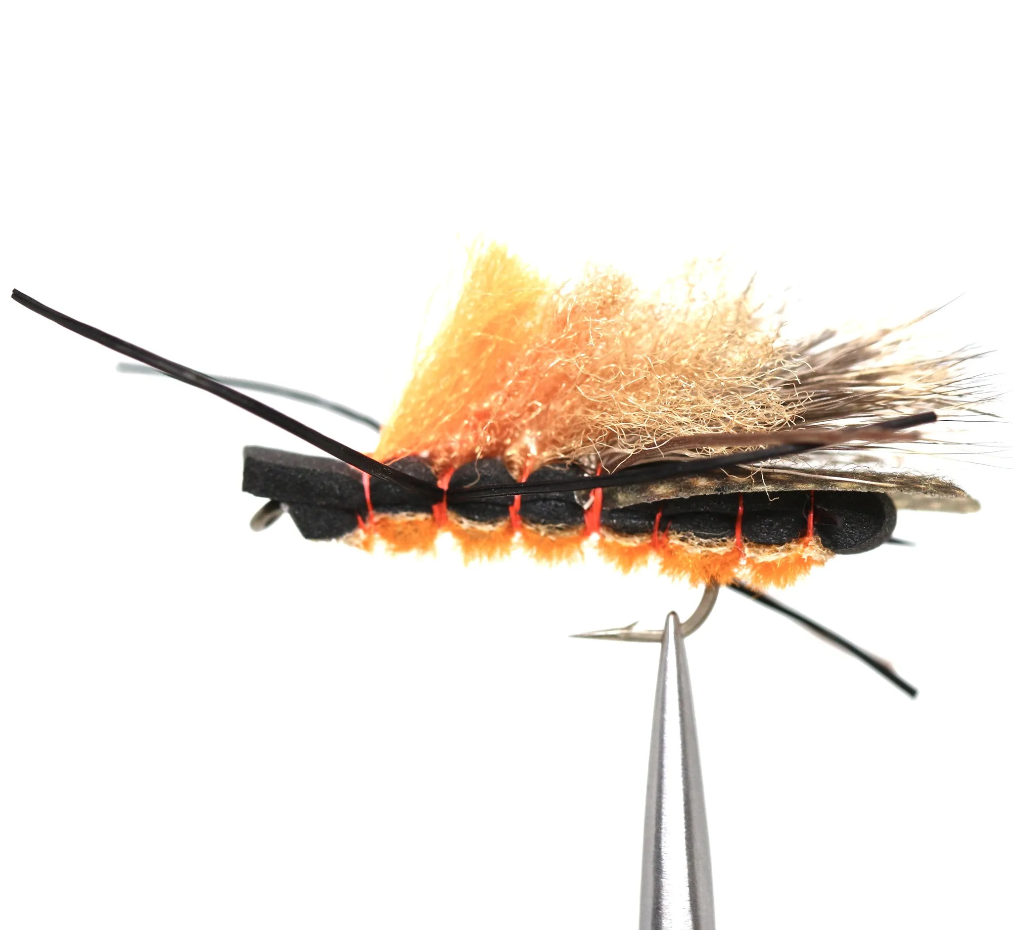 Christensen's Salmonfly