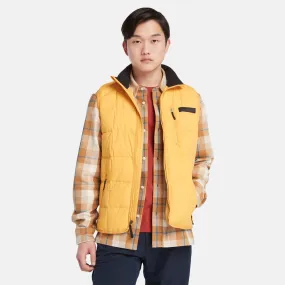 Men's Bear Head DWR Down Packable Vest