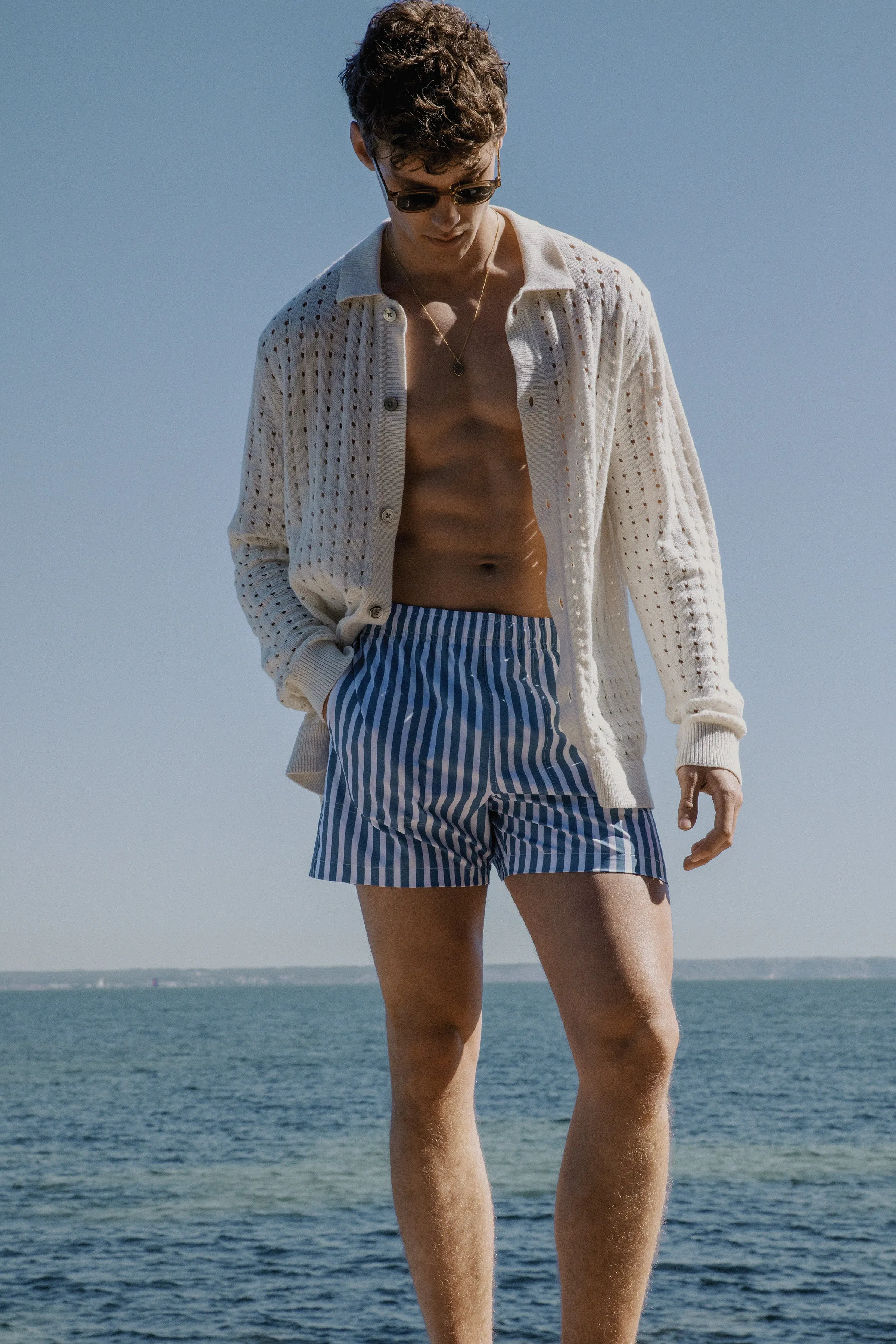 The Striped 5in Swim Short in Blue